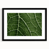 Extra large abstract art print featuring colorful, textured leaves on a black framed canvas, ideal for living room decor.