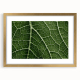 Extra large abstract art print featuring textured leaf designs in earth tones, framed in gold, ideal for living room decor.
