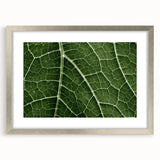 Textured art print of abstract leaves in muted green and brown tones, framed in silver, ideal for bedroom art.