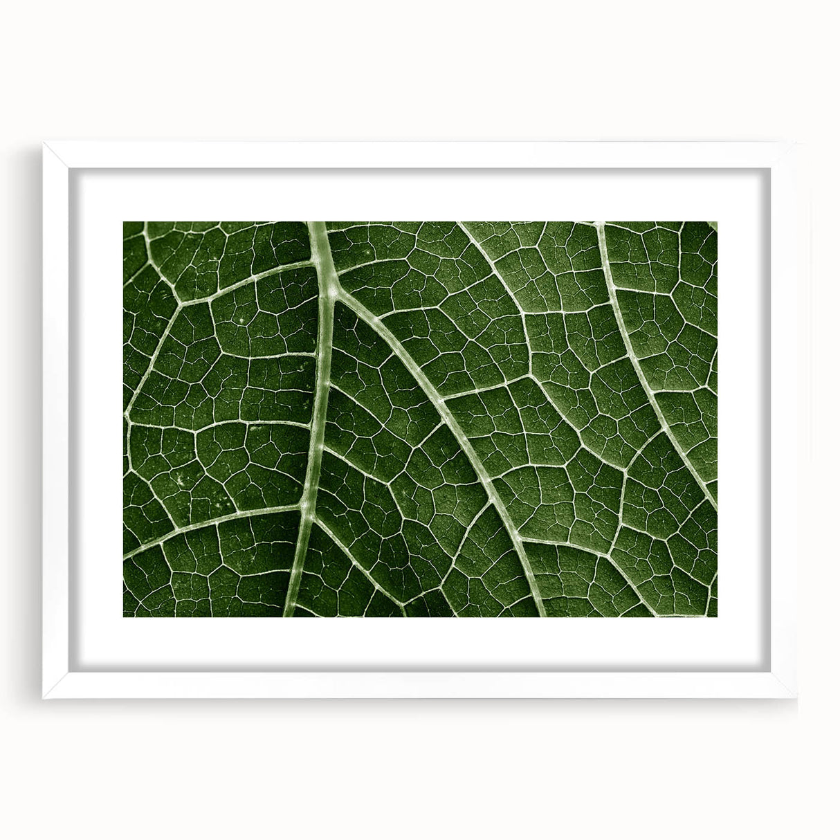 Abstract art print of close-up leaves in muted green and white, framed with a white mat.