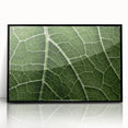 Large abstract wall art featuring close-up leaves in muted green tones on a black acrylic frame.