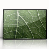 Large abstract wall art featuring close-up leaves in muted green tones on a black acrylic frame.