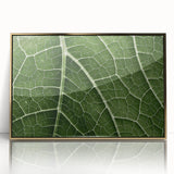 Large art print of close-up leaves in gold frame, featuring mid-century modernist style with vibrant green hues.