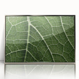 Mid-century modernist art depicting close-up leaves in silver and green tones on a framed acrylic.