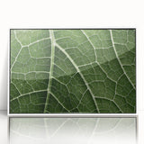 Acrylic print of close-up leaves in green tones, framed in white, suitable for modern nursery decor.