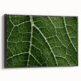 Black and white close-up photo of leaves on framed canvas, ideal for bedroom wall decor with a vintage poster feel.