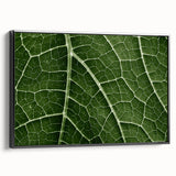 Black and white close-up photo of leaves on framed canvas, ideal for bedroom wall decor with a vintage poster feel.