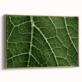 Framed canvas featuring a close-up of leaves in black and gold, ideal for bedroom wall decor.