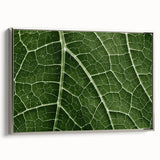 Framed canvas featuring close-up of green leaves, ideal for adding a touch of nature to any room.