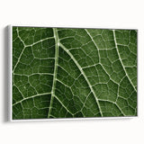 Vintage poster art of colorful leaves on a large framed canvas, suitable for living room decor.