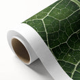 Art deco poster of close-up green leaves on a rolled canvas, suitable for nursery wall art or dining room decor.