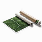 Extra large rolled print of close-up leaves in green tones, ideal for classy bathroom wall art.