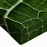 Close-up black and white photo of leaves on stretched canvas, ideal for bedroom wall art.
