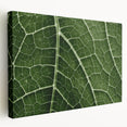 Close-up of green leaves on a large stretched canvas, suitable for kitchen wall art.