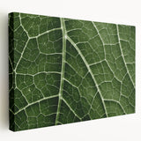 Close-up of green leaves on a large stretched canvas, suitable for kitchen wall art.