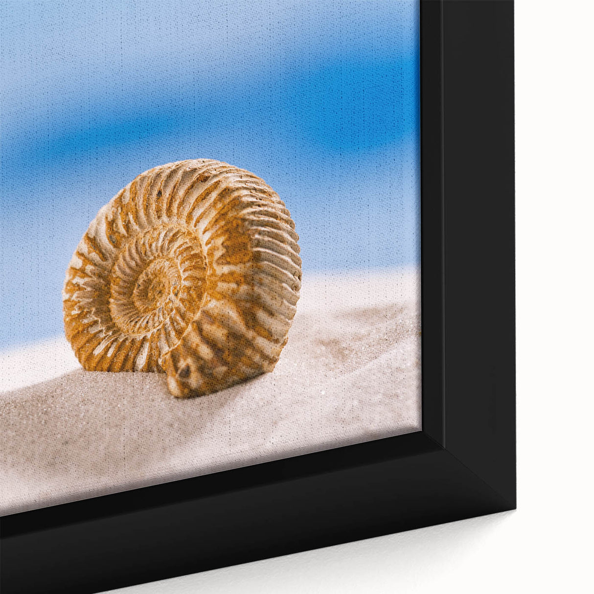 Extra large black wall art on framed canvas featuring a close-up of colorful, textured natural elements.