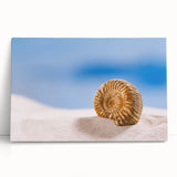 Black and white close-up photo of natural elements on stretched canvas, ideal for kitchen wall art or bedroom.