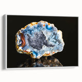 Vintage poster art of colorful natural elements on extra large framed canvas, ideal for living room decor.