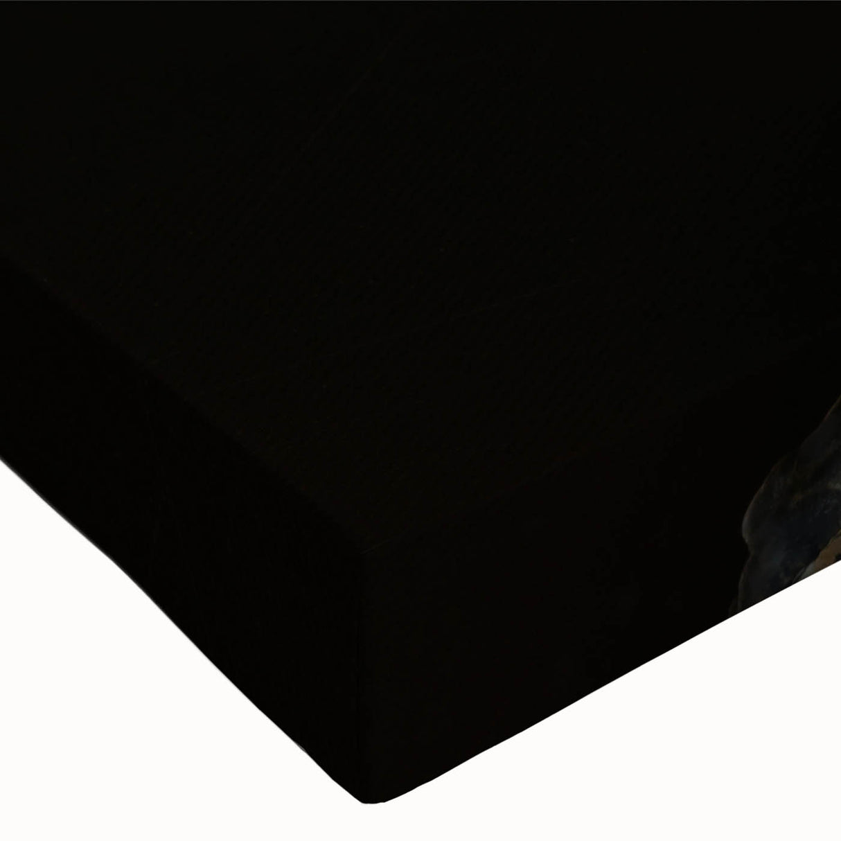 Large art canvas featuring a close-up black and white landscape painting, ideal for bedroom wall decor.