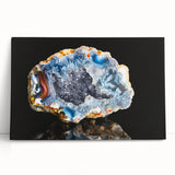 Black and white close-up of natural elements on stretched canvas, suitable as large kitchen wall art.