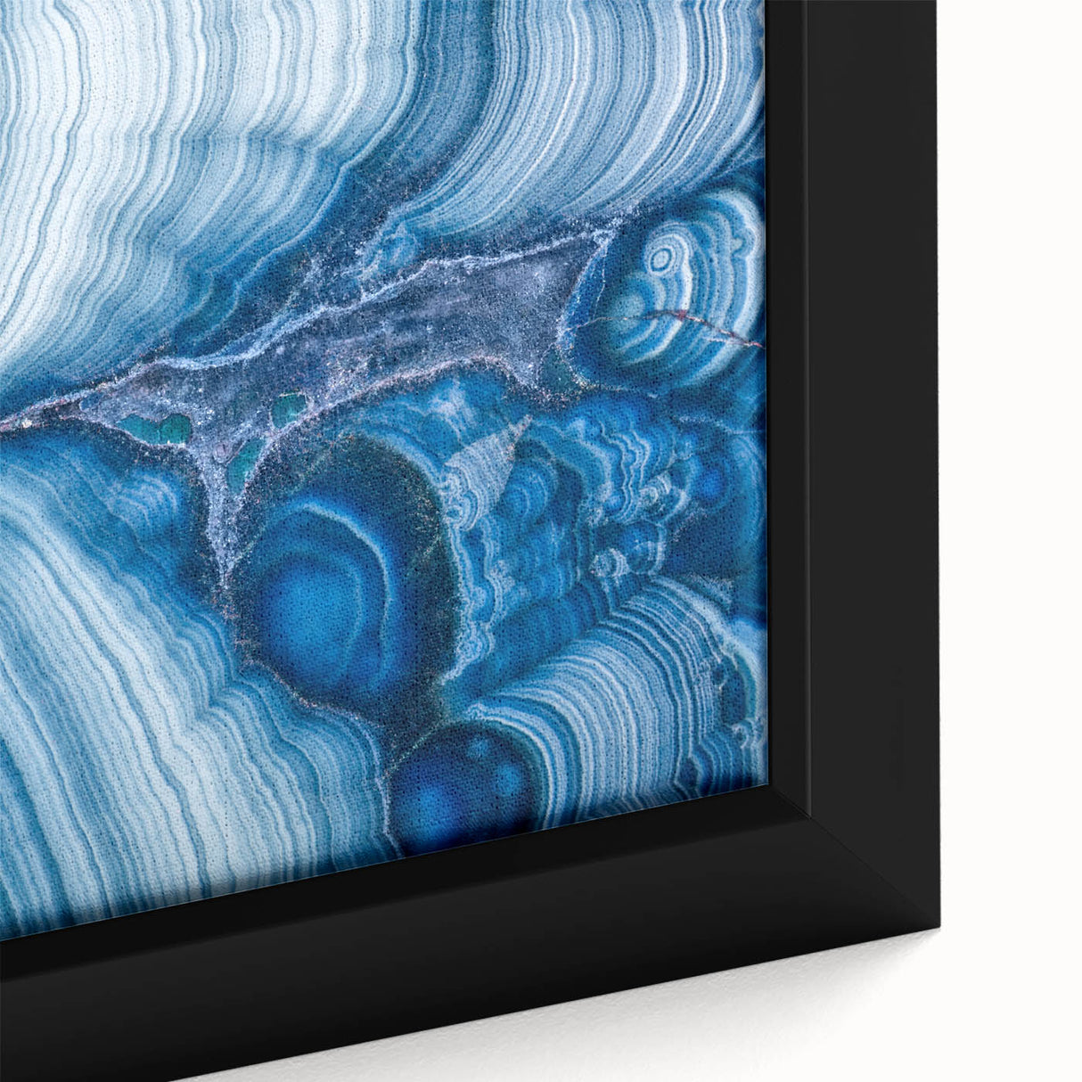 Extra large black wall art featuring a close-up of colorful, textured natural elements on framed canvas.