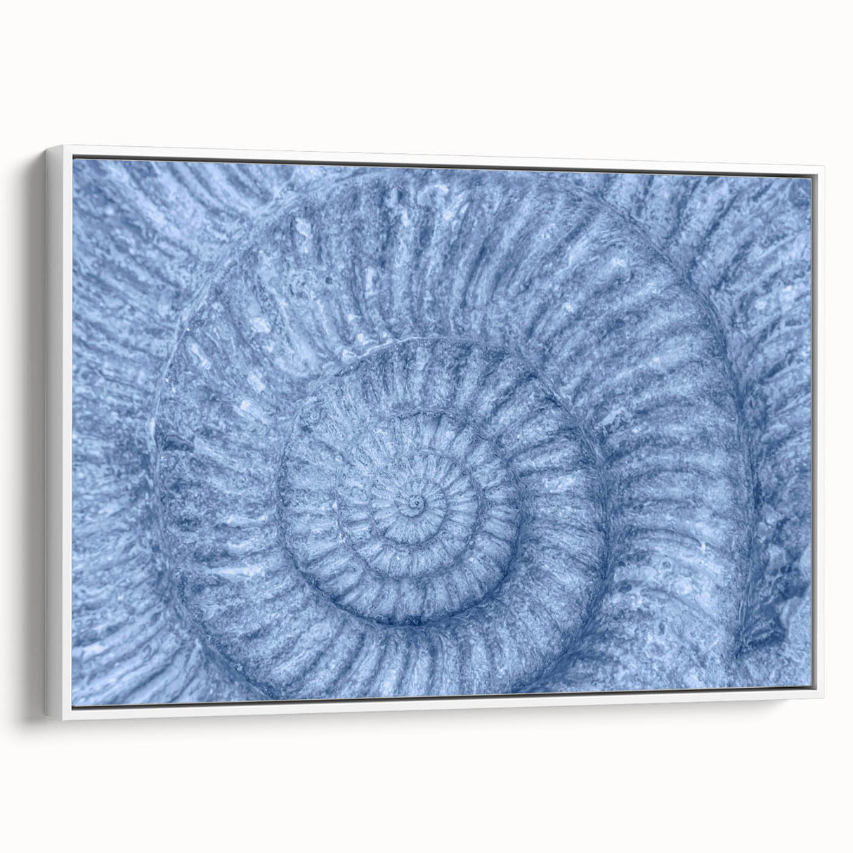 Extra large framed canvas of vintage poster art featuring colorful natural elements, ideal for living room decor.
