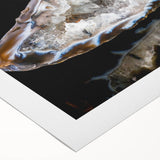 Art deco poster featuring a close-up of natural elements in muted earth tones on rolled canvas.