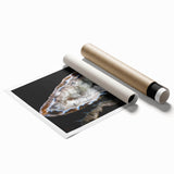 Extra large rolled print featuring close-up floral art in soft pastel shades.