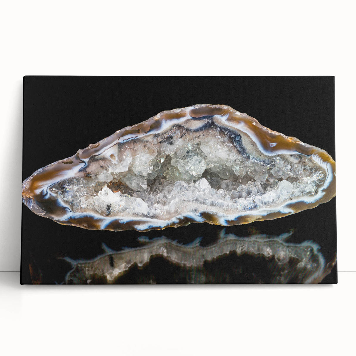 Black and white close-up photo of natural elements on stretched canvas, suitable as large kitchen wall art.