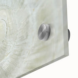 Large abstract wall art featuring a close-up of natural elements in muted earth tones on acrylic glass.