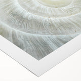 Art deco poster featuring a close-up of natural elements in muted green and brown tones on rolled canvas.