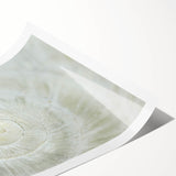 Extra large wall art featuring line art flowers in black and white on rolled canvas, ideal for large living room wall decor.