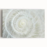 Large black and white close-up photo of natural elements on stretched canvas, ideal for kitchen wall art.