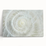 Black and white close-up photo of natural elements on stretched canvas, ideal for kitchen wall art.