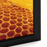 Extra large black wall art on canvas featuring a close-up of colorful, textured natural elements.
