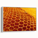 Vintage poster art of colorful natural elements on a large framed canvas, ideal for living room decor.