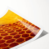 Extra large wall art featuring line art flowers in black and white on a rolled print, suitable for large living room decor.