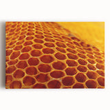 Black and white close-up photo of natural elements on stretched canvas, ideal for kitchen wall art.