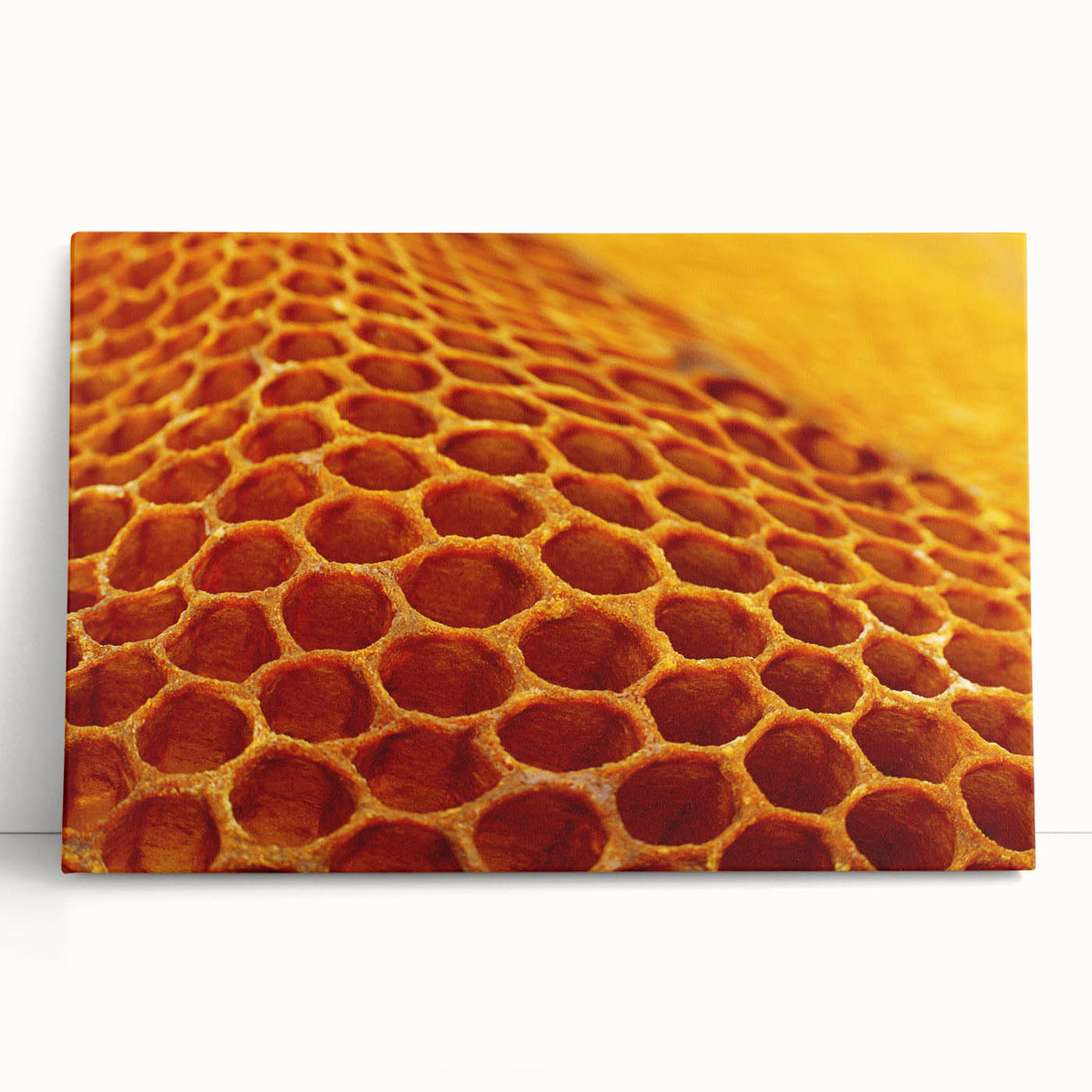 Black and white close-up photo of natural elements on a large stretched canvas, ideal for kitchen wall art.