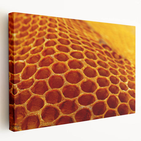 Close-up of natural elements in earth tones on a stretched canvas, ideal for kitchen wall art.