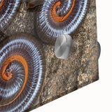 Large abstract wall art in mid-century modernist style, featuring organic shapes in earthy tones on acrylic glass.