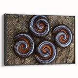 Black and white framed canvas featuring a close-up of natural elements, ideal for bedroom wall decor.