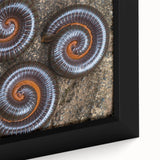 Close-up of black wall art featuring a textured, colorful abstract design on a framed canvas, ideal for living room decor.