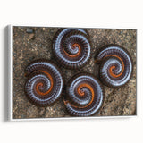 Extra large vintage poster art on framed canvas, featuring colorful natural elements against a black background.