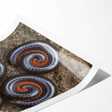 Extra large wall art featuring line art flowers in black and white on rolled canvas, suitable for large living room decor.