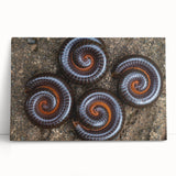 Close-up black and white photo of natural elements on stretched canvas.