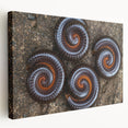 Close-up image of natural elements in muted earth tones on a stretched canvas, suitable for kitchen wall art.