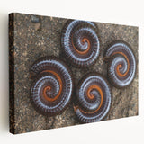Close-up image of natural elements in muted earth tones on a stretched canvas, suitable for kitchen wall art.