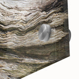 Large abstract acrylic print featuring natural elements in earth tones.