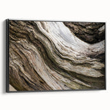Black and white framed canvas featuring a close-up landscape, ideal for bedroom wall art.